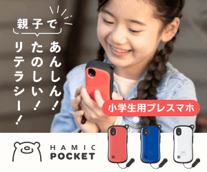 Hamic POCKET